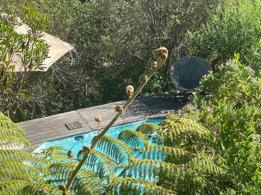 Aristea Garden Unit- Amazing Mountain Views
